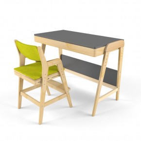 Комплект растущий стол и стул с чехлом 38 попугаев «Вуди» (Серый, Без покрытия, Грин) в Игре - igra.mebel-74.com | фото