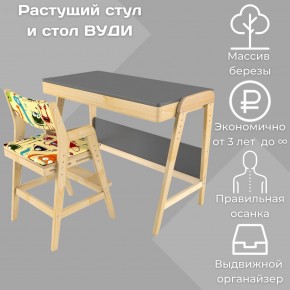 Комплект растущий стол и стул с чехлом 38 попугаев «Вуди» (Серый, Без покрытия, Монстры) в Игре - igra.mebel-74.com | фото